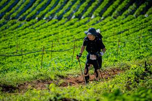 BIB: 
                            <button type="button" onclick="openModal(19161422)" class="btn btn-primary btn-sm float-right btn-popup" data-toggle="modal" data-target=".modal-high-quality">
                        <i class="fas fa-shopping-cart"></i> Add to Cart
                    </button>
                                            <button type="button" onclick="isThisMe(19161422, true)" class="btn btn-success btn-sm float-right btn-popup btn-isme hidden" data-toggle="tooltip" data-placement="bottom" title="นี่คือรูปของคุณใช่ไหม คลิกที่นี่เพื่อเอาเข้าอัลบั้ม">
                        <i class="fas fa-plus"></i> Add to album
                    </button>
                    <button type="button" onclick="isThisMe(19161422, false)" class="btn btn-warning btn-sm float-right btn-popup btn-isnotme hidden">
                        <i class="fas fa-ban"></i> Remove from album
                    </button>